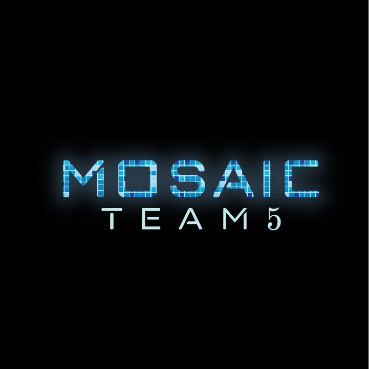 Mosaic Team 5